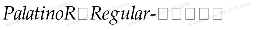 PalatinoR Regular字体转换